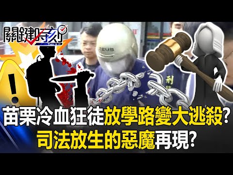 Miaoli Maniac’s “3 Stages of Cold-Blooded Hunting” Turns After-School Roads into a Battle Royale!