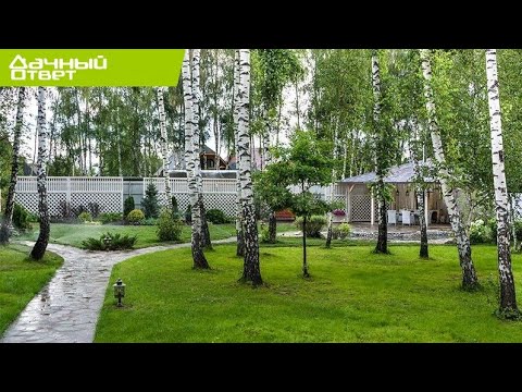 Дачный ответ - Среди берез: креативное вмешательство в природу (26.08.2012)