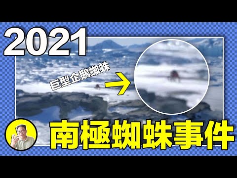 2021年，一張企鵝蛛照片引出90年代隱秘。詭異禁區與傷員，鑽探南極冰層解封了強大生物？那片冰海或許能証明外星生命的存在......｜總裁聊聊
