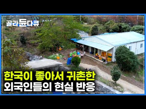 한국이 좋아서 공부하러 유학 왔다가 우연히 귀촌까지｜아침에는 배추 캐고, 오후에는 김장까지 외국인들의 귀촌 반응｜한국기행｜#골라듄다큐
