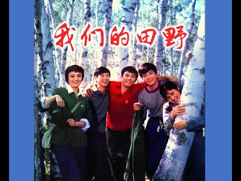 难忘的知青电影——我们的田野（谢飞/周里京/林芳兵/张静/雷汉/吕晓刚）