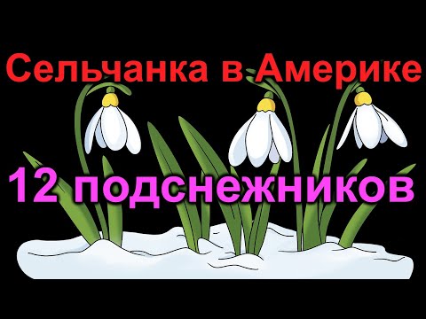 Сельчанка в Америке.12 подснежников