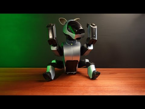 Willow loves to dance