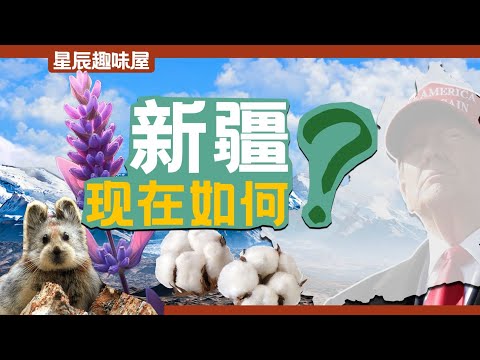 先棉花後番茄，炒作不止！歐美想要「毀掉」的新疆現在咋樣了？｜星辰趣味屋