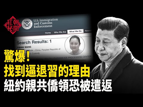 震驚！找到逼退習的理由 親共僑領被移民局逮捕 恐面臨遣返 台青年免費赴中 學者揭中共統戰伎倆 台外交部希望高市支持台灣加入CPTPP      主播：麗雯【紅朝秘聞】