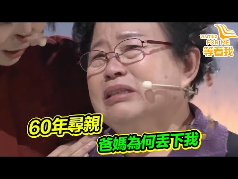 9歲被爸爸拋棄街頭!69歲阿姨帶怨恨尋親:為何狠心不要我?《等着我》精編版