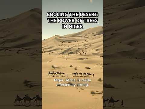 Cooling the Desert: The Power of Trees in Niger