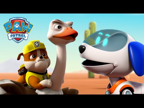機器狗從逃跑的鴕鳥手中救出了小礫！- PAW Patrol 汪汪隊立大功 - 兒童卡通