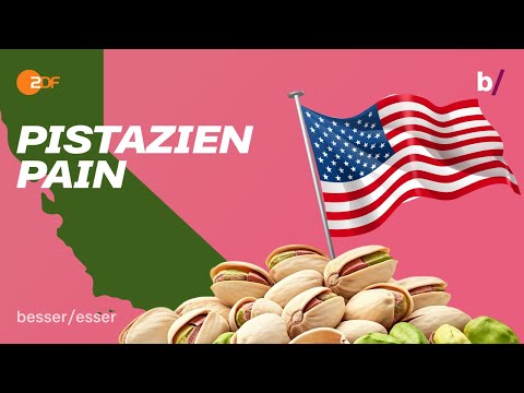 Perfekte Pistazien: So werden sie in den USA wirklich angebaut 