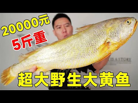 Gold bars in the sea! 20000 yuan bought an auction-grade super-large wild large yellow croaker  wei