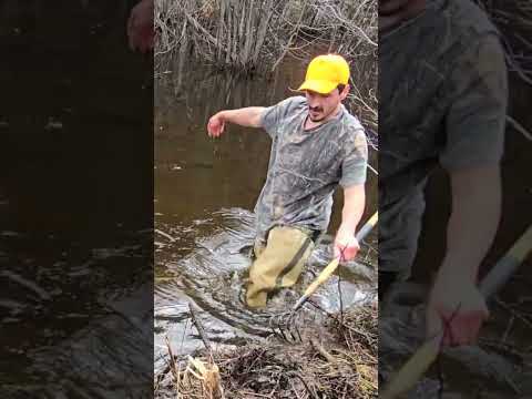 Sending A Log Under The Road Through Surging Water