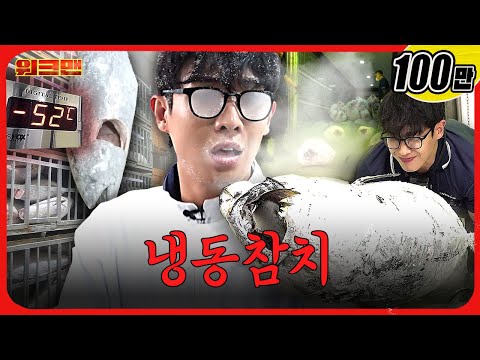 Can’t… resist… tuna!!! 🐟 | Frozen Tuna Factory | Workman | Lee Joon