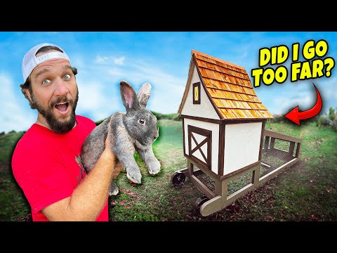 We Were Supposed To Eat Him But I Did This Instead!