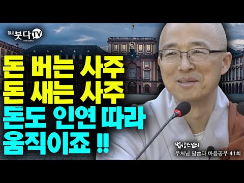 돈 버는 사주 돈 새는 사주 돈도 인연 따라 움직이죠  ⭐️부처님 말씀과 마음공부 41회(21-1)⭐️ 불교 법상스님 행복 마음공부 사주 인연 팔자