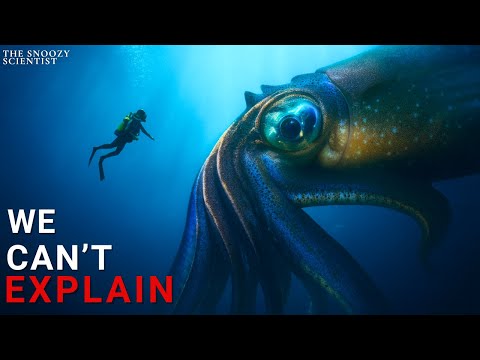 The Deeper We Go The Bigger Life Gets