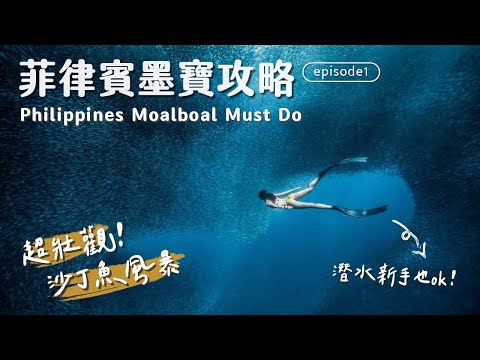 海底下的龍捲風長這樣？超扯沙丁魚風暴、在地人的私藏瀑布、菲律賓最適合新手的潛水美照勝地值得去嗎？宿霧墨寶 Vlog EP1