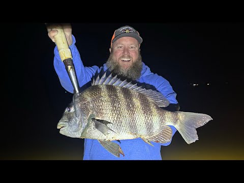 HUGE SHEEPSHEAD at NIGHT | Catch, Clean, Cook