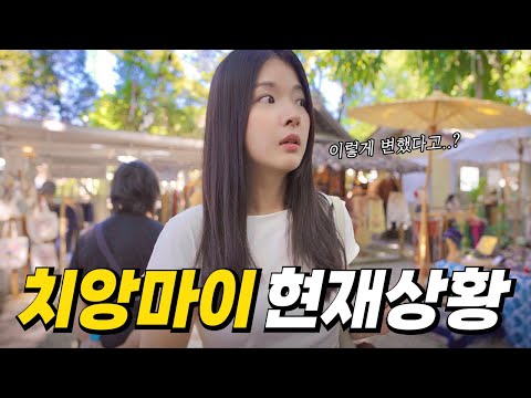 Best Season to Travel: Current Situation in Chiang Mai