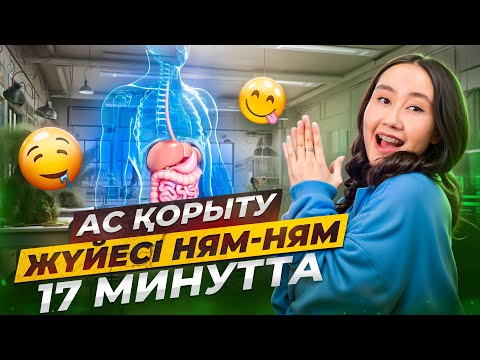 Ас қорыту жүйесі ням-ням 17 минутта