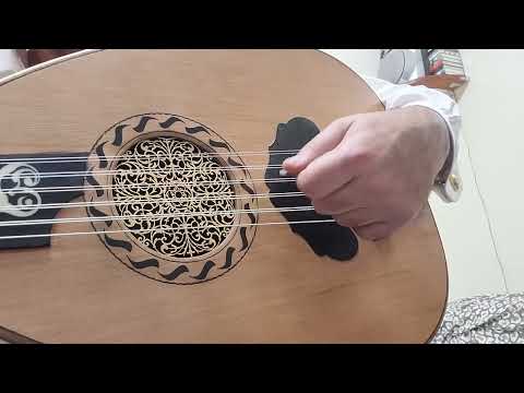 משה חבושה אלתור ביאת