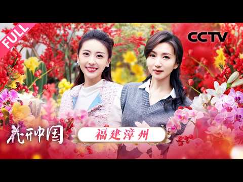 【Full】水仙一开年味就来了!走进“花果之城”福建漳州,领略水仙花雕刻的东方雅艺,体味闽南花园里的年节温情 | CCTV「花开中国」20260215 第10期