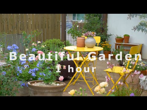 No subtitle, No BGM / Beautiful garden Healing video 🌿 for 1 hour