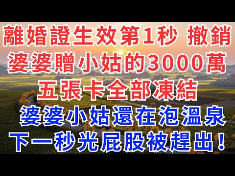 離婚證明生效第一秒，立刻撤銷婆婆贈小姑的3000萬，五張卡全部凍結，婆婆小姑還在泡溫泉，下一秒光屁股被趕出來！#離婚#婆媳關係#小說故事#為人處世