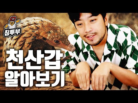 천산갑(Pangolin)에 대해 알아보자