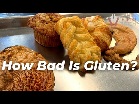The TRUTH About Gluten