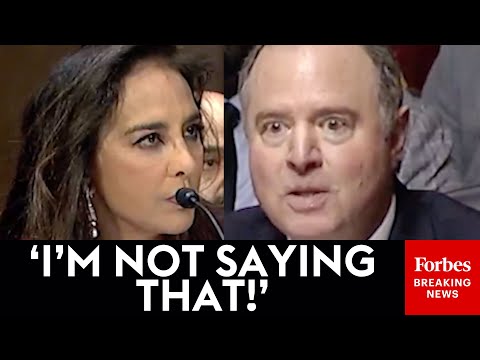 BREAKING NEWS: Harmeet Dhillon And Adam Schiff Clash Over DEI, Trump Actions