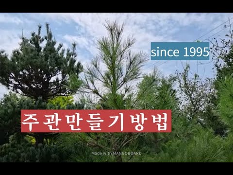 Creating a Subject (September 20, 2021)