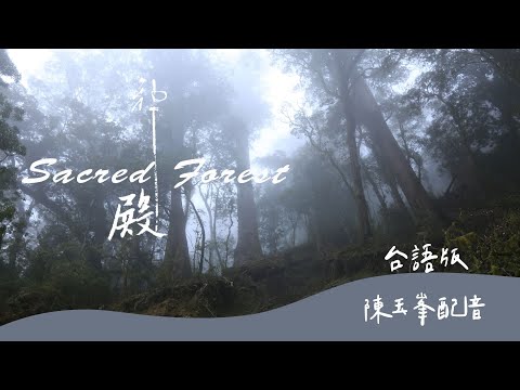 【《神殿》台語版登場|台灣森林的讚嘆|陳玉峯配音、柯金源作品|公視 紀錄觀點X我們的島】