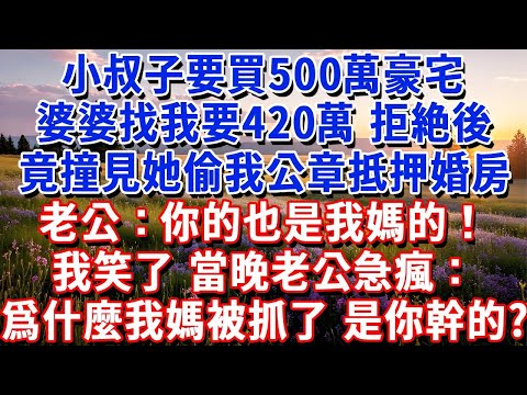 小叔子要買500萬豪宅，婆婆找我要420萬，我拒絶後，竟撞見她偷我公章抵押婚房，老公：你的也是我媽的，我笑了，當晚老公急瘋了頭：爲什麼我媽被抓了，你幹的？#小魚故事會#為人處世#人生感悟#中老年生活