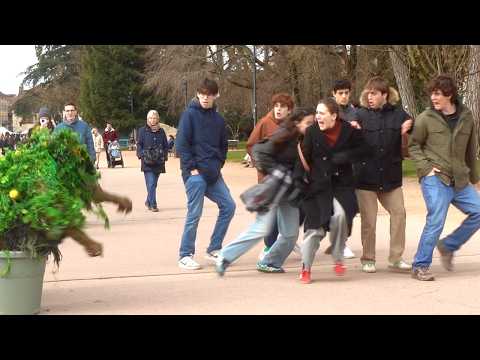 From Calm to PANIC in 1 Second – Bushman Prank