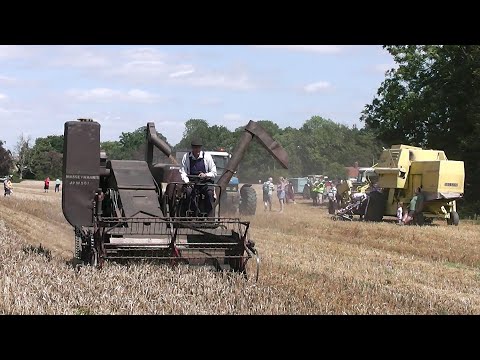 Little Ellingham Show 2025 Vintage Harvest
