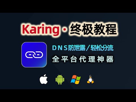 告别DNS泄露！Karing终极指南：配置、DNS、分流、链式代理全讲明白！这可能是全网最详细教程了 |开源代理软件 支持草果安卓PC！