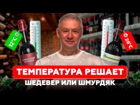 Как делают лучшие вина мира? И как ТЕМПЕРАТУРА БРОЖЕНИЯ может превратить вино в ШМУРДЯК!?