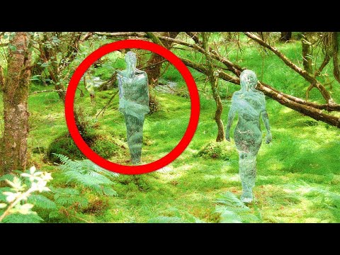 TERRIFYING Things Found In The Woods