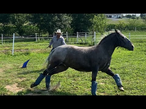 He Reacts and Bolts Away...What should I do?