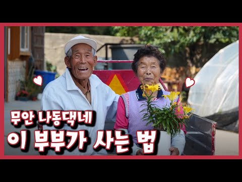 [남도지오그래피] 이 부부가 사는 법 – 무안 나동댁네 / 220620 by KBS광주