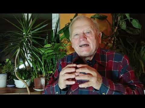 КАК ВЫРАСТИТЬ ТОМАТЫ БЕЗ БОЛЕЗНЕЙ И ВРЕДИТЕЛЕЙ с помощью  ризофагии