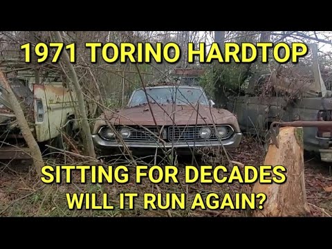 Will it run? 71 Torino in a junkyard 26 years!