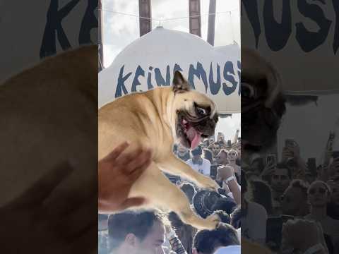 The signature keinemusik sound uncovered #keinemusik #afrohouse