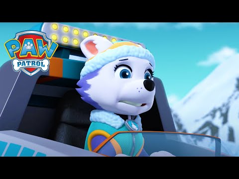 Everest's Mountain Rescue! - PAW Patrol Compilation - Cartoons for Kids