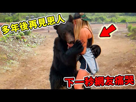 史上最感動！人與動物重逢瞬間，每一條都感人至深，第一名看哭千萬人！