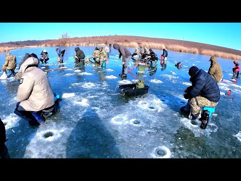 Знайшли Гарну Рибу. Зимова Риболовля Морозного Дня