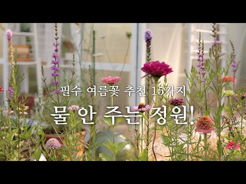 물주기 힘들다고요? 사계절 물 안주는 정원에서 피는 필수 여름꽃 추천 15가지와 가드닝 팁! 천국같은 코티지가든