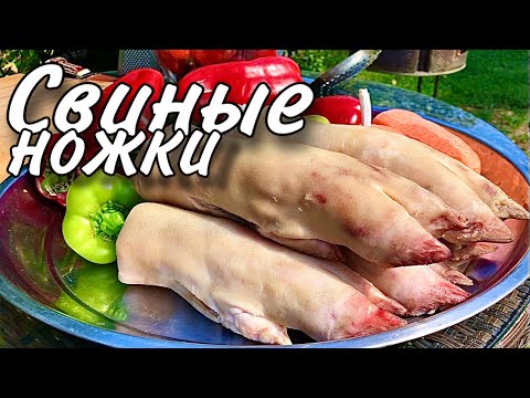 Готовим деликатес за копейки. Свиные ножки в казане