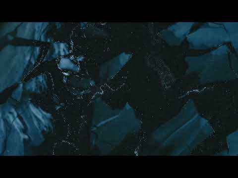 Playlist l 우리는 모두 외로운 고래다