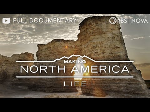 Making North America: When Dinosaurs Roamed | Full Documentary | NOVA | PBS